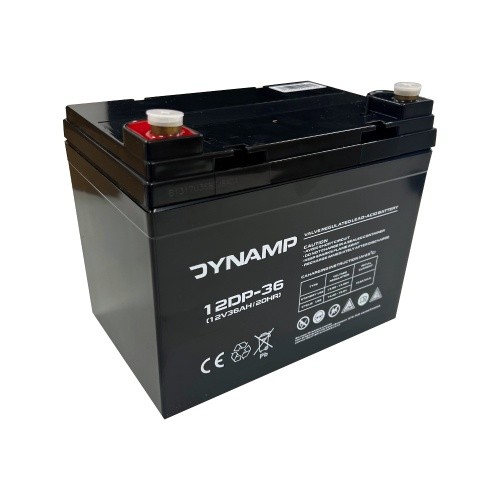 Dynamp 12dp 12v 36ah - dynamp,